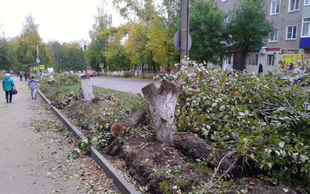 «Что за безобразие?»: в администрации ответили, почему спилили десятки тополей на проспекте Мира