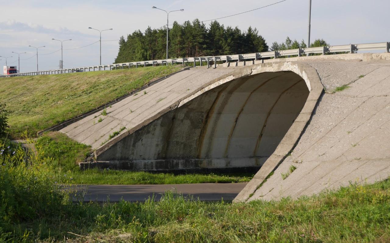 В Нововятске построят тоннель через «горбатый» переезд к концу 2021 года