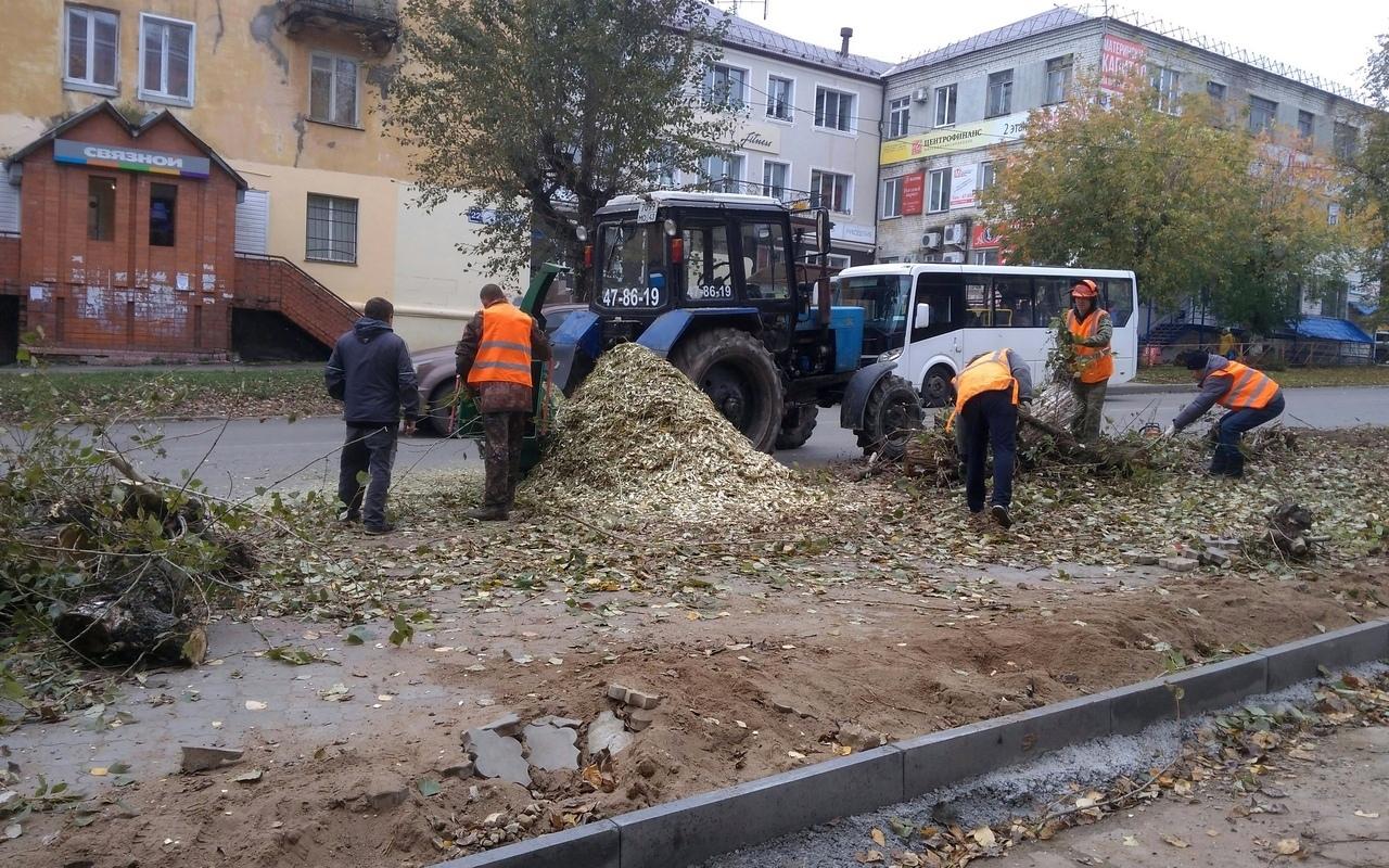 На место рубки аварийных деревьев в Кирово-Чепецке привезли щебень