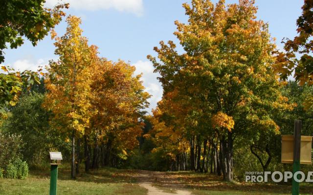 После аномальных холодов в Кировскую область придет значительное потепление