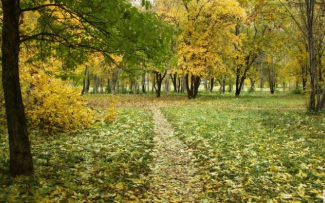 Синоптики рассказали, какая погода ждет жителей Кирово-Чепецка на следующей рабочей неделе