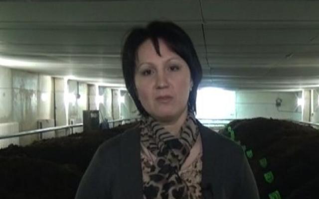 Путь от медсестры до бизнес-леди: в Кировской области женщина зарабатывает миллионы на червях