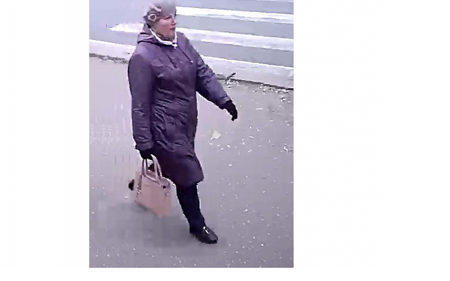 Кировская полиция разыскивает мошенницу, обманувшую чепчанку