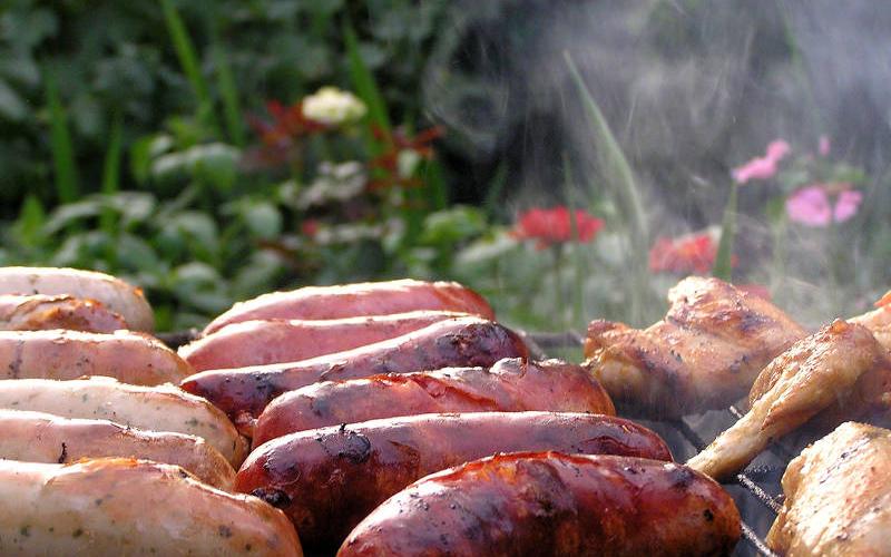 В Кстинино из-за мангала с сосисками сгорело 28 деревьев