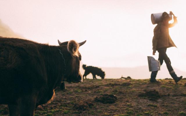 Женщинам разрешат взять выходной, а приставы смогут отправлять СМС: новые законы в РФ