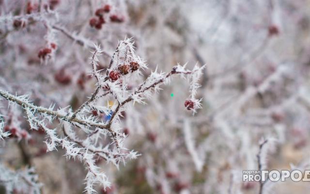 Снегопад и потепление: погода в Чепецке в первые дни декабря
