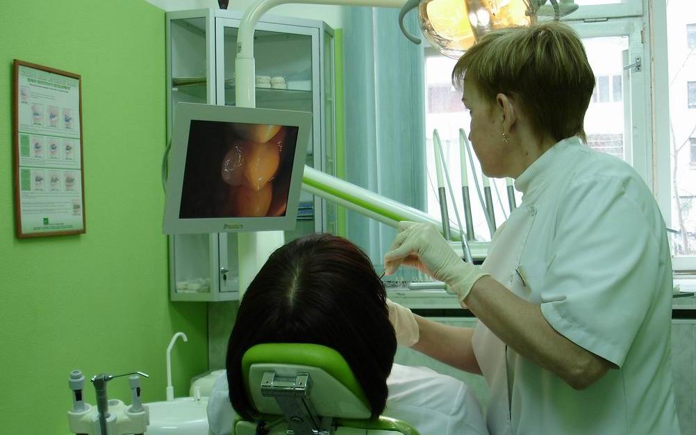 Безопасность, сервис, цена: по каким принципам вы выбираете стоматологию?