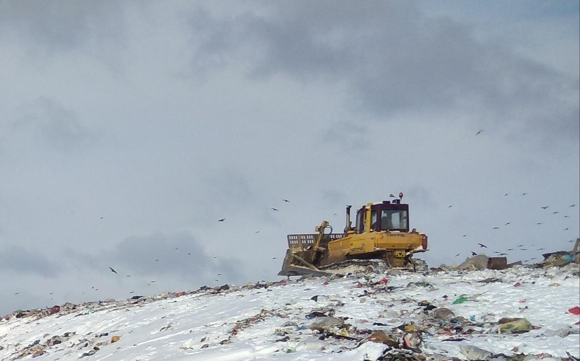 На полигоне «Лубягино» планируют построить мусоросортировочный завод