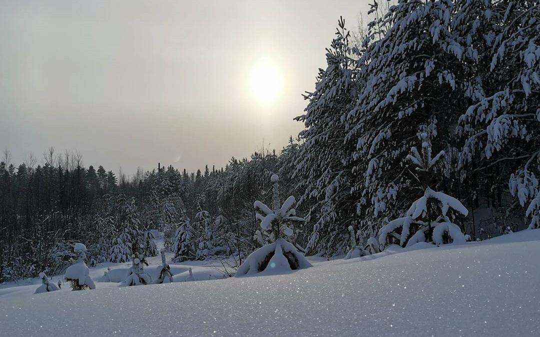 В Кирово-Чепецк придут 20-градусные морозы: прогноз погоды на неделю