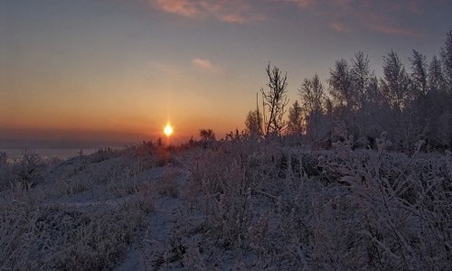 Погода на 8 января: сегодня ожидается оттепель