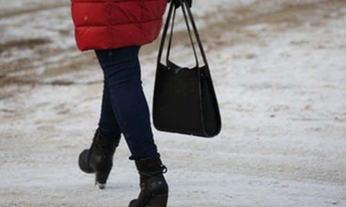 В Чепецке крадут женские сумочки