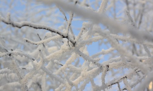 Погода на 15 января: сегодня будет пасмурно