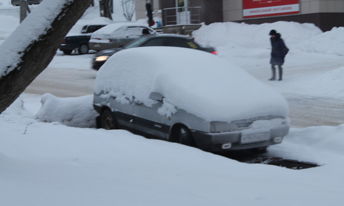 Вопрос-Ответ: Почему ГИБДД не убирает подснежники?