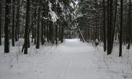 Погода на 18 января: сегодня будет морозно