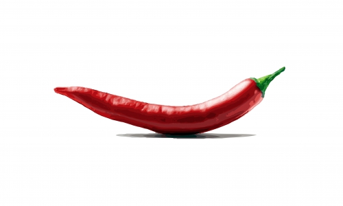 В Кирово-Чепецке "перец" обокрал квартиру