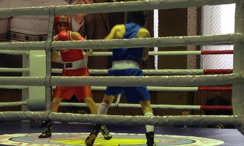 В Чепецке соревнуются лучшие боксеры ПФО (фото)