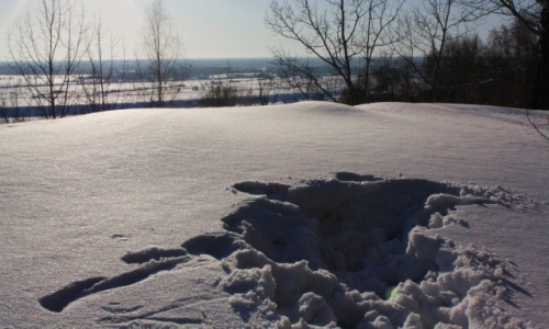 Девочка из Чепецка не смогла выбраться из снежной ямы и задохнулась