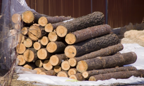 Нарубили дров на два миллиона рублей