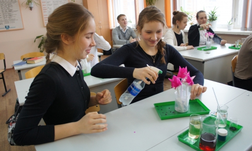 В Чепецке может появиться свой Менделеев