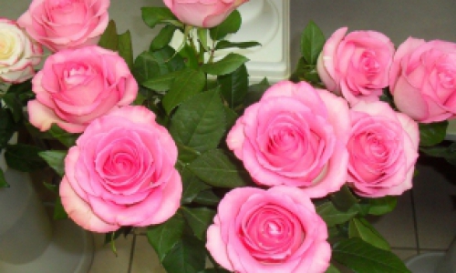 На сколько подорожали цветы к 8 Марта?