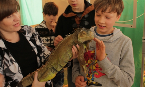 Школьники подержали в руках настоящих крокодилов и варанов (фото)