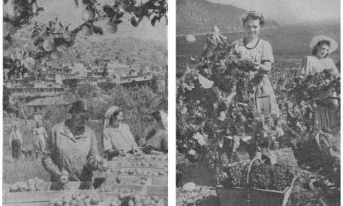 Сколько стоит присоединить к России Крым: Доронин посчитал