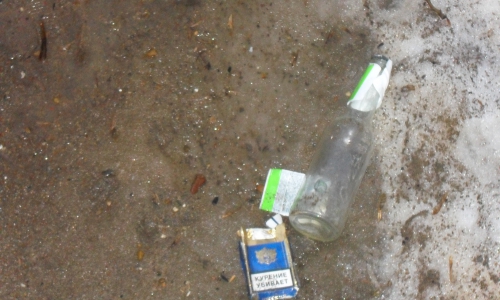 Топ-5 нечистоплотных горожан Кирово-Чепецка (фото)