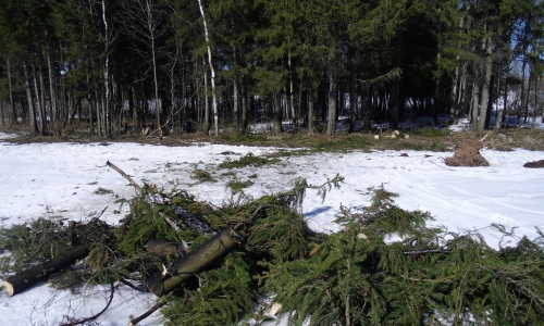 Под Чепецком упавшее дерево оборвало несколько проводов 