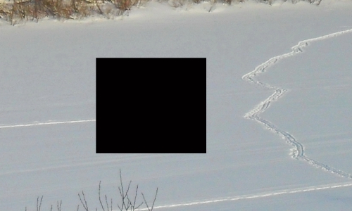 Конкурс "Черный квадрат": угадайте, что спрятано на картинке