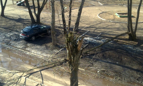 Упавший тополь перегородил проезжую часть (новость от читателей)