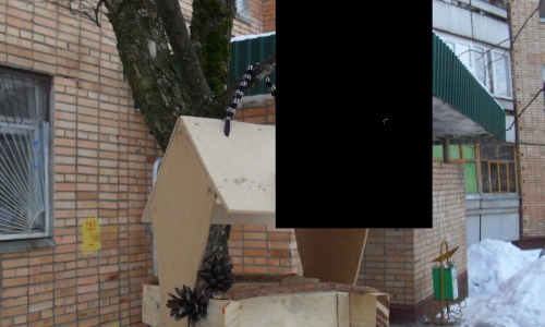 Конкурс "Черный квадрат": угадайте, что спрятано на картинке