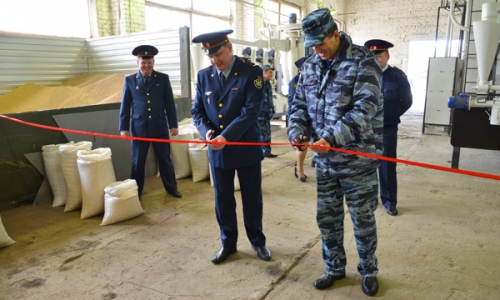 В чепецкой колонии будут производить крупу
