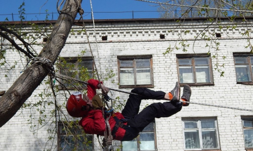 Чепецкие школьники забираются на деревья за считанные секунды (СЛАЙД-ШОУ)
