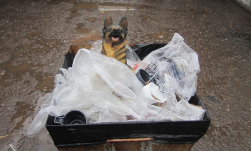 Штрафы за мусор в Чепецке вырастут до полумиллиона