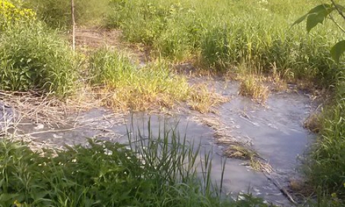 В Утробино пахнет зловониями