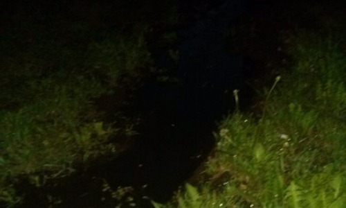 Теперь канализационные стоки в Утробино сливают ночью