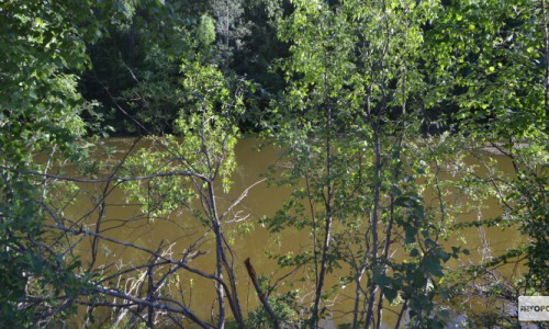 В Кировской области найден мертвым охотник, который искал братьев Кулаковых
