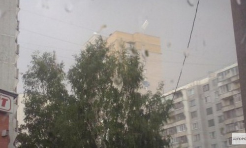 Неделя с 9 июня по 15 июня 2014 года в Чепецке будет дождливой