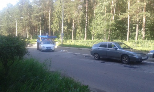 В Кирово-Чепецке сбили маму с ребенком: фельдшер до последнего пытался спасти малыша