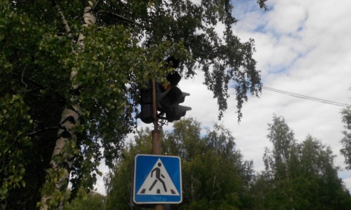 Опрос: где в городе необходим светофор?