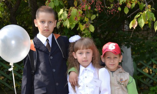 Выдача земельных участков многодетным семьям приостановлена