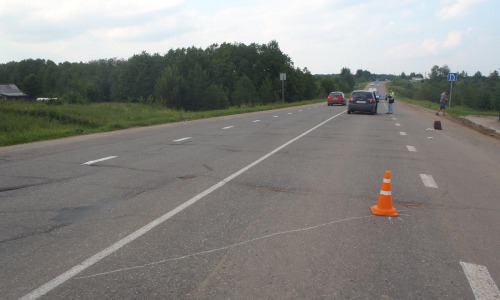В Кирово-Чепецком районе автоледи сбила пожилую женщину