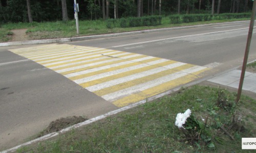 В Чепецке на месте трагедии  скоро появится светофор
