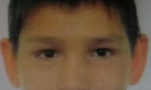 В лесу Кировской области пропал подросток