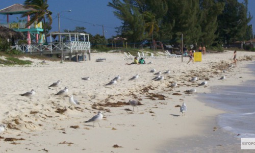 У жителей Кировской области может появиться собственный санаторий в Крыму