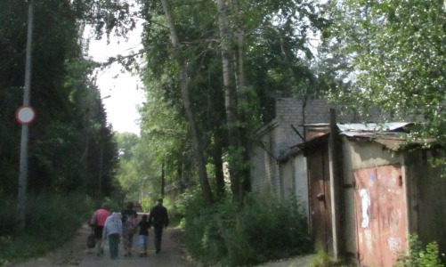 Старые тополя у горбольницы могут упасть в любой момент