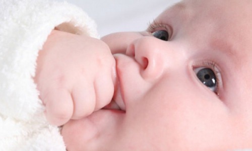 Новорожденная девочка, которую подбросили к колонке в Кирово-Чепецком районе, жива