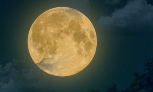 Подсмотрено в соцсетях: 11 фотографий ночного суперлуния от кировчан