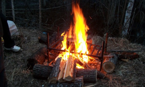 Чепчанин едва не спалил лес, избавляясь от мусора