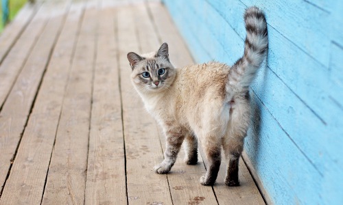 Фоторепортаж от читателей: типичный Чепецк